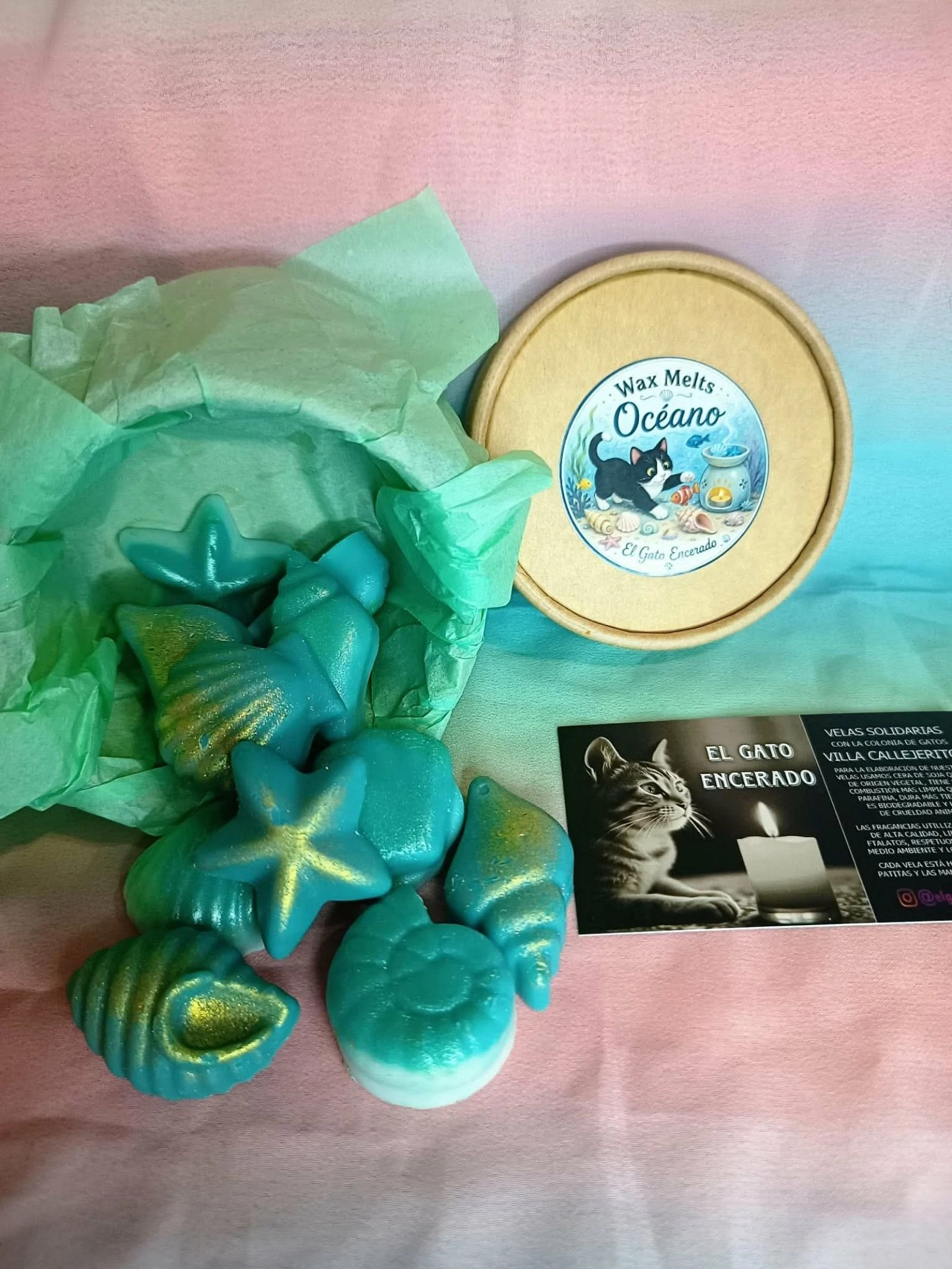 Waxmelts Océano – photo 2